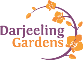 Darjeeling Gardens